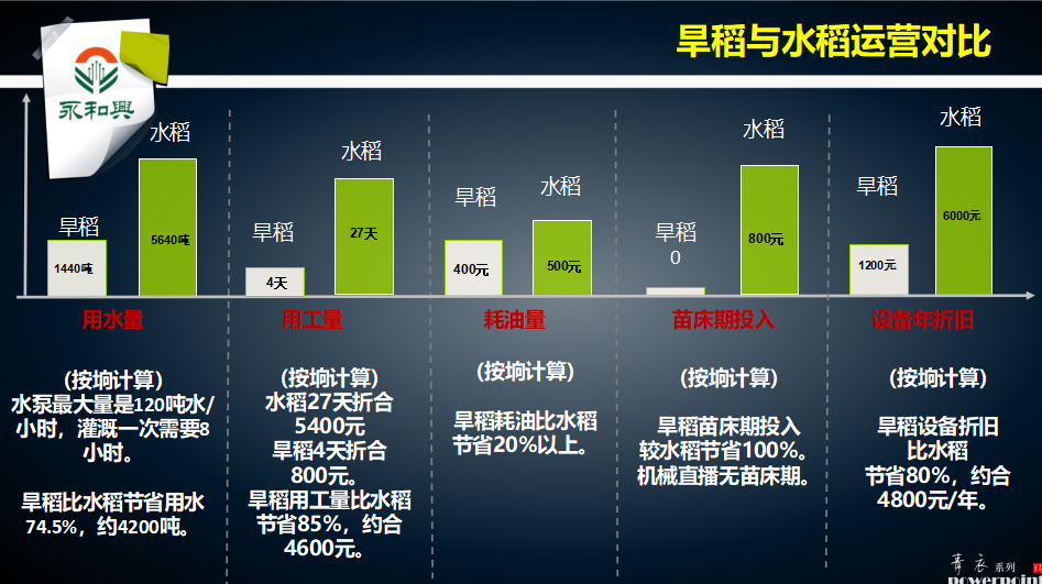 五彩旱稻